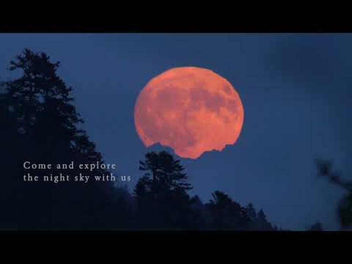 Night Lights Films Adrien Mauduit is creating media & educational